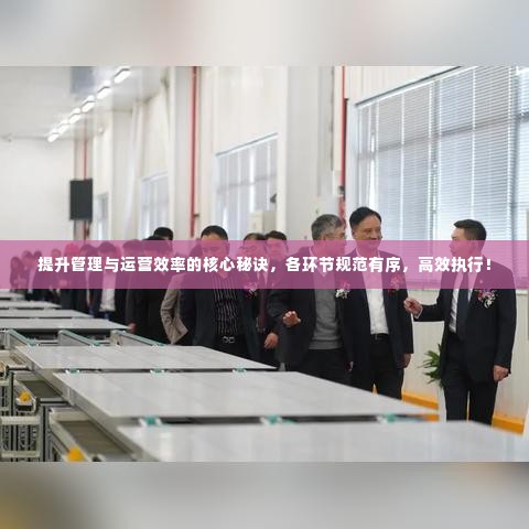 提升管理与运营效率的核心秘诀，各环节规范有序，高效执行！