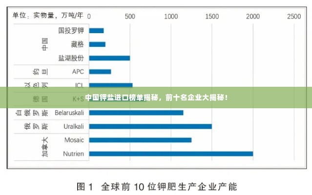 中国钾盐进口榜单揭秘，前十名企业大揭秘！