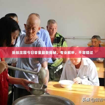 蚂蚁庄园今日答案最新揭秘，专业解析，不容错过