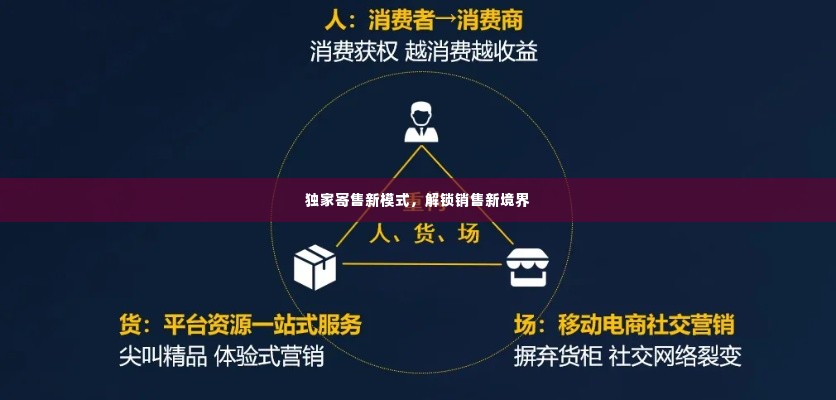 独家寄售新模式，解锁销售新境界