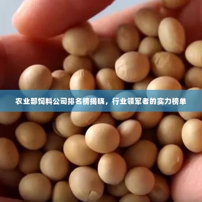 农业部饲料公司排名榜揭晓，行业领军者的实力榜单