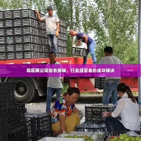 园区网公司排名揭秘，行业领军者的成功秘诀