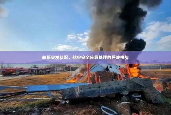 航班突发状况，航空安全应急处理的严峻挑战