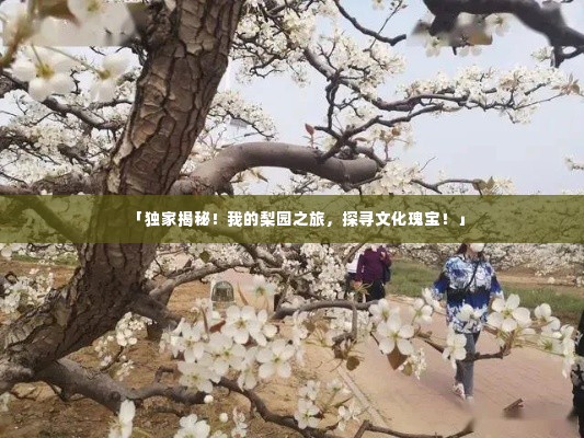 「独家揭秘！我的梨园之旅，探寻文化瑰宝！」