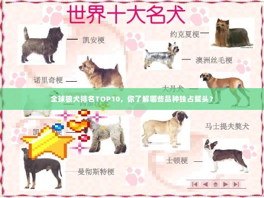 全球狼犬排名TOP10，你了解哪些品种独占鳌头？