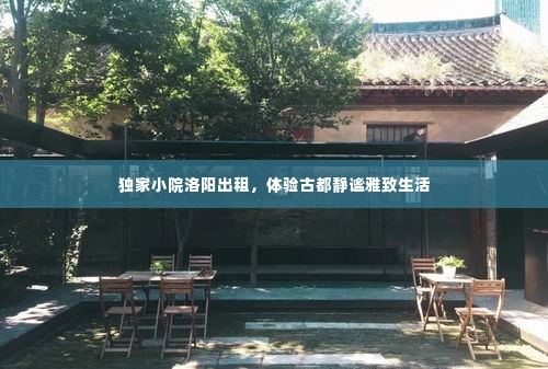 独家小院洛阳出租，体验古都静谧雅致生活