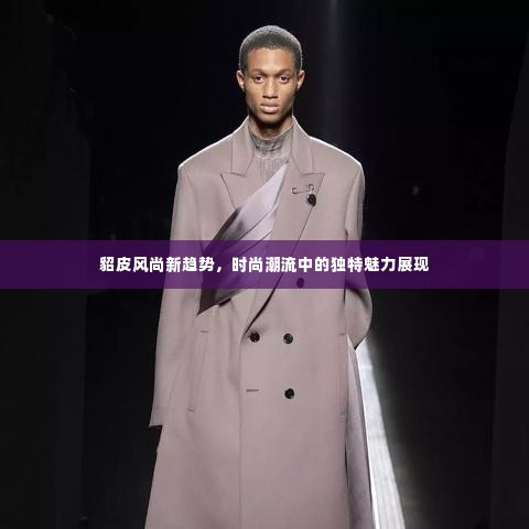 貂皮风尚新趋势，时尚潮流中的独特魅力展现