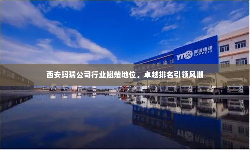 西安玛瑞公司行业翘楚地位，卓越排名引领风潮