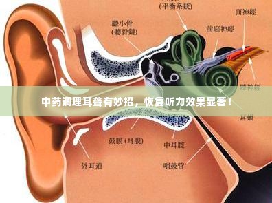 中药调理耳聋有妙招，恢复听力效果显著！