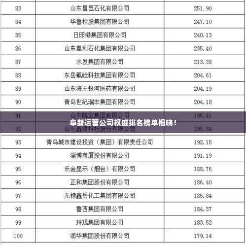 阜新运营公司权威排名榜单揭晓！