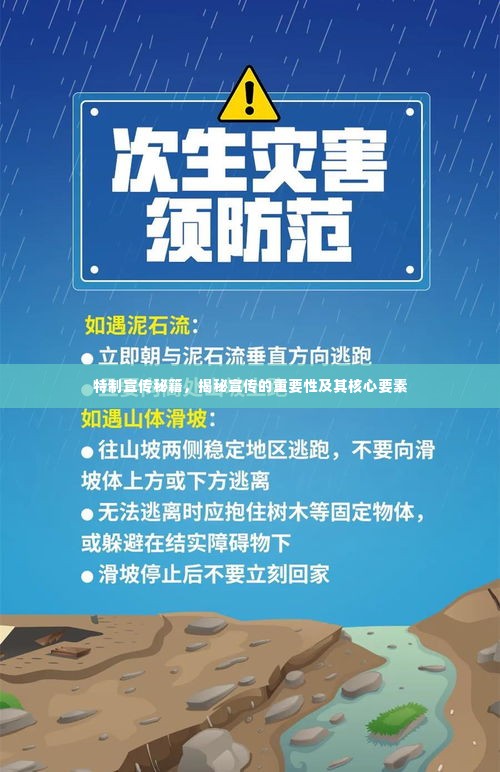特制宣传秘籍，揭秘宣传的重要性及其核心要素