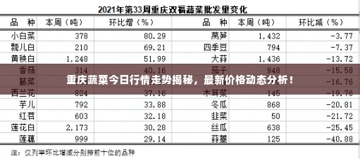 重庆蔬菜今日行情走势揭秘，最新价格动态分析！