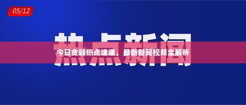 今日金融热点速递，最新新闻视频全解析