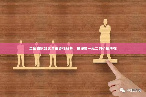 全国独家含义与重要性解析，揭秘独一无二的价值所在