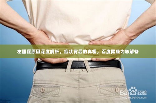 左腰疼原因深度解析，症状背后的真相，百度健康为您解答