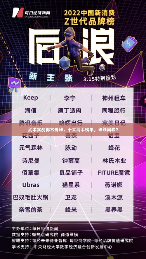 武术实战排名揭秘，十大高手榜单，谁领风骚？