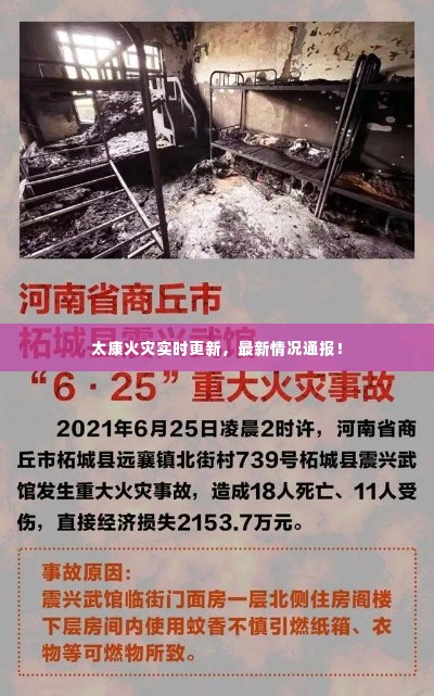 肝胆相照