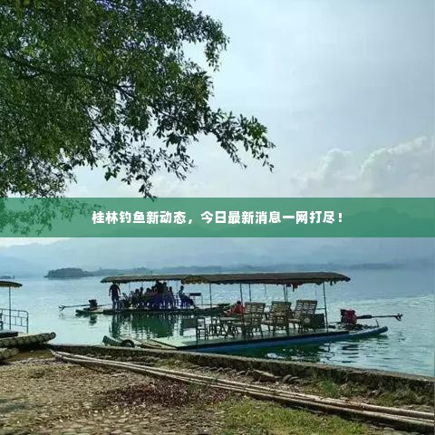 桂林钓鱼新动态，今日最新消息一网打尽！