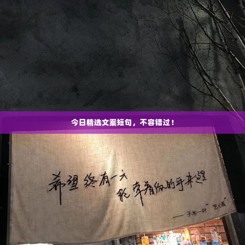 今日精选文案短句，不容错过！
