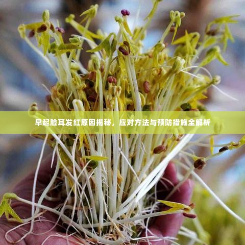早起脸耳发红原因揭秘，应对方法与预防措施全解析