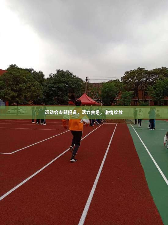 运动会专题报道，活力赛场，激情绽放