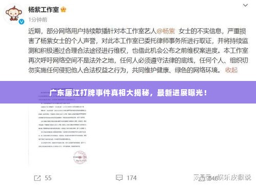 采购爆款 第13页