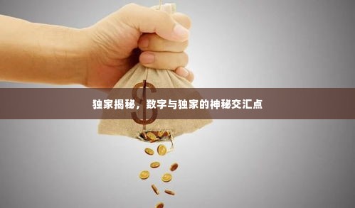 独家揭秘，数字与独家的神秘交汇点