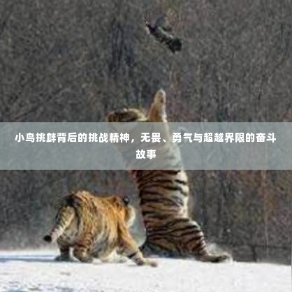 行疾如飞