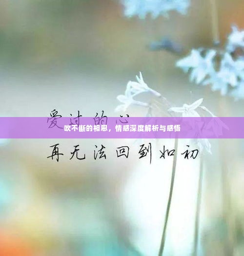 剑拔弩张