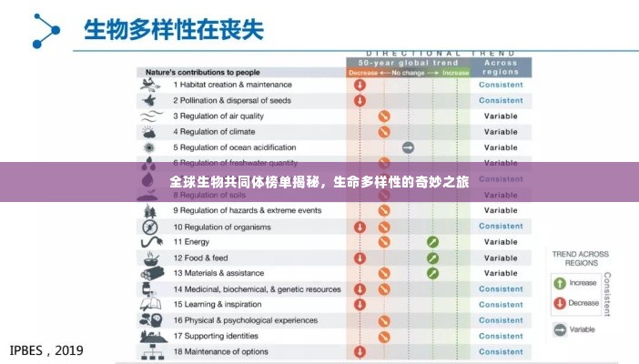 全球生物共同体榜单揭秘，生命多样性的奇妙之旅