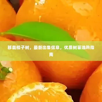 建筑材料 第6页