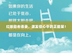 一丝不苟