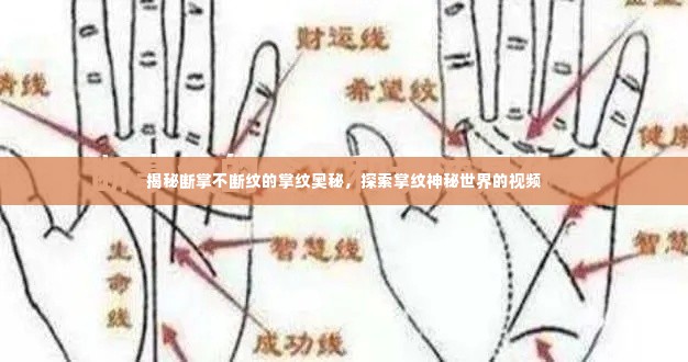 揭秘断掌不断纹的掌纹奥秘，探索掌纹神秘世界的视频